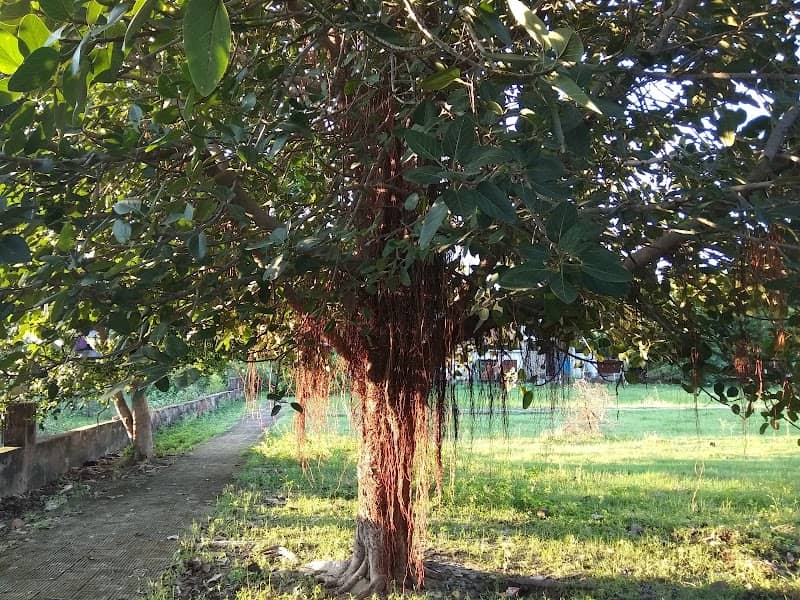 Samyak Park - Image 1
