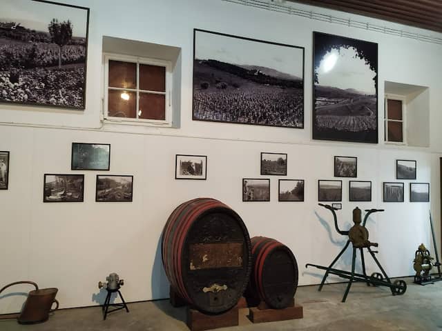 King's Winery - Image 1