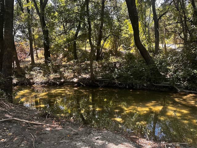 Maxwell Creek Trails - Image 1
