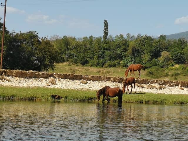 Cha Cha Riverside Beach - Image 1