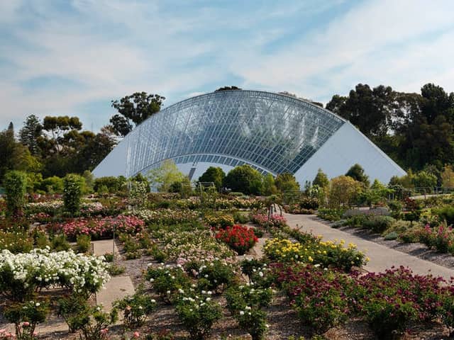 Adelaide Botanic Garden - Image 2