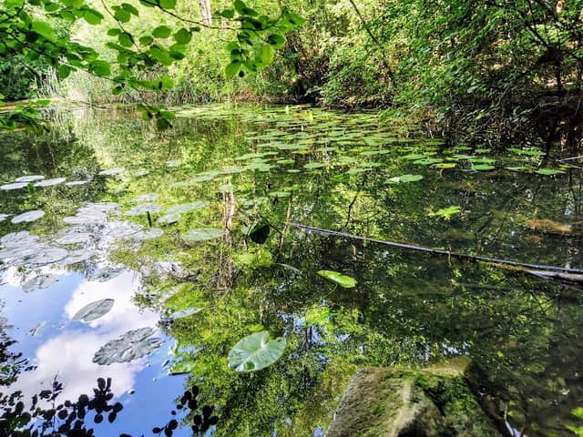 Hupperweiher - Image 1