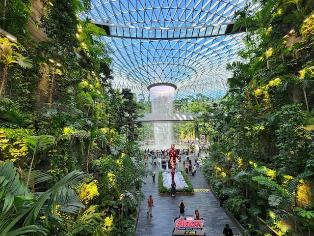 Hedge Maze @ Jewel - Image 2