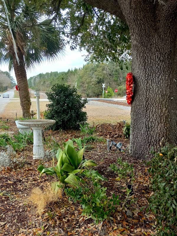 Palmetto Park - Image 1
