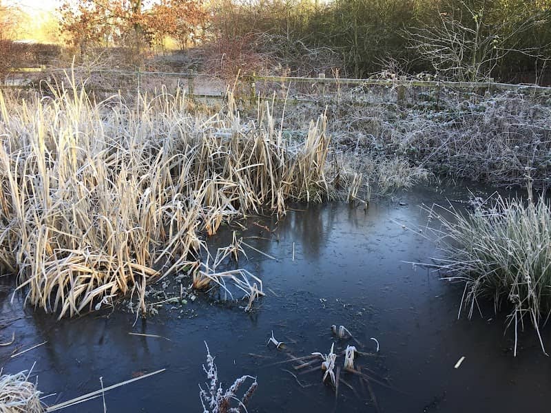 Pond and Rotary Centennial Wildlife Area - Image 1