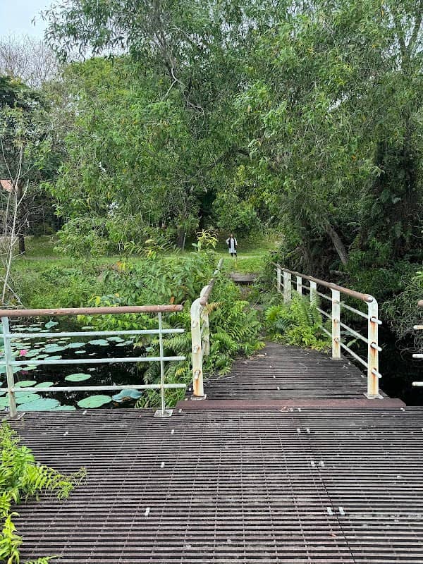 Paya Indah Lake Jetty - Image 1