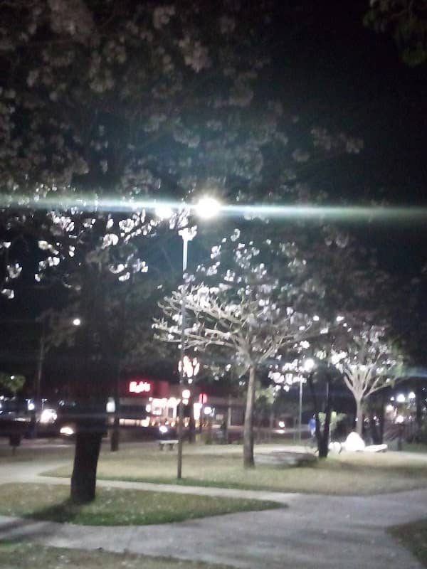 Praça - Image 1