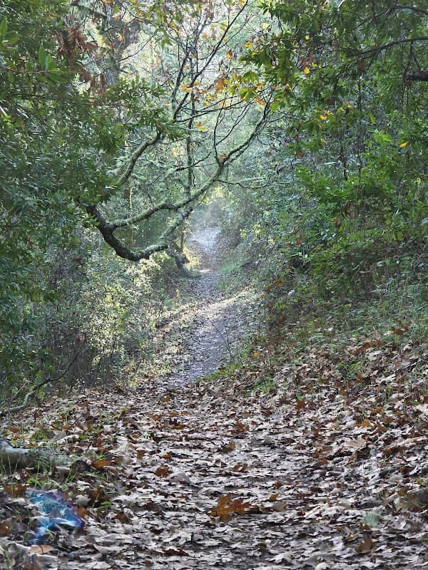 Coal Mine Ridge Open Space Preserve - Image 1