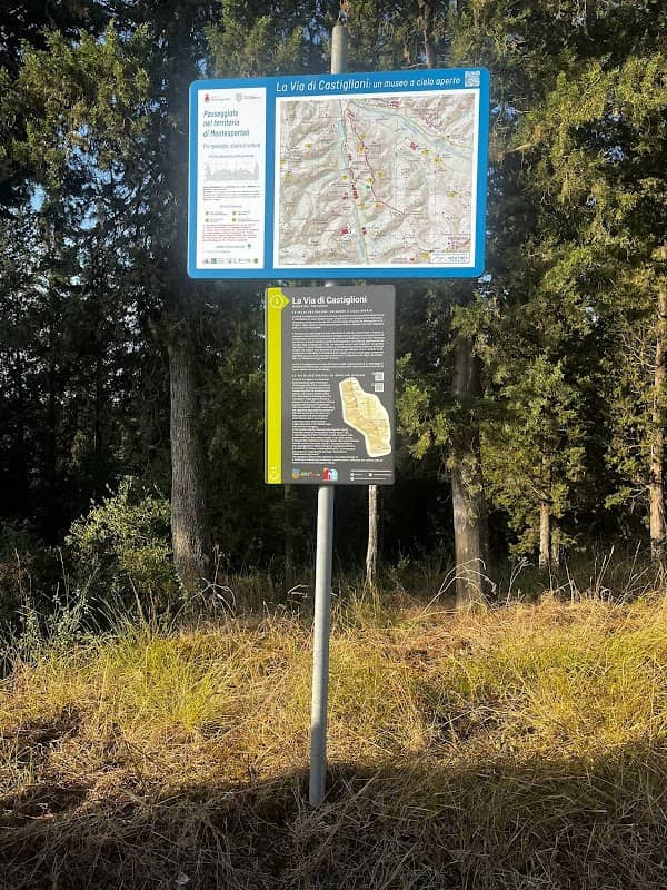 La via di Castiglioni - Image 1