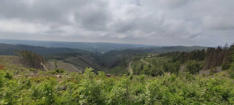 Oberlandblick - Image 1