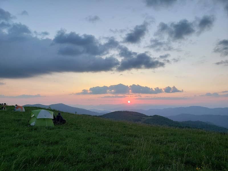 Max Patch - Image 2