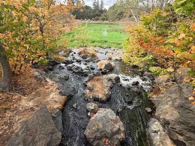 Talking Water Gardens - Image 2