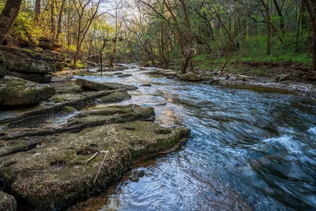 willhoite mill trailhead - Image 2