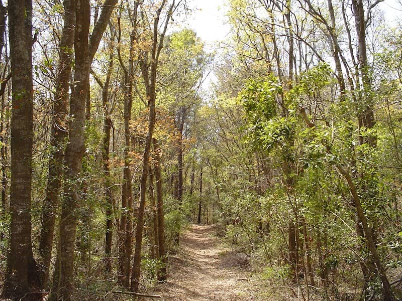 Buxton Woods Reserve - Image 1