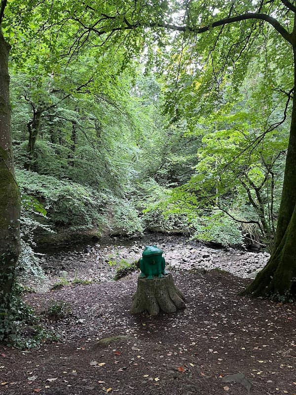 Colin Glen Forest Park - Image 3