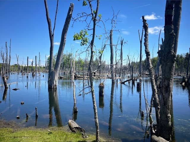 Huron Natural Area - Image 1