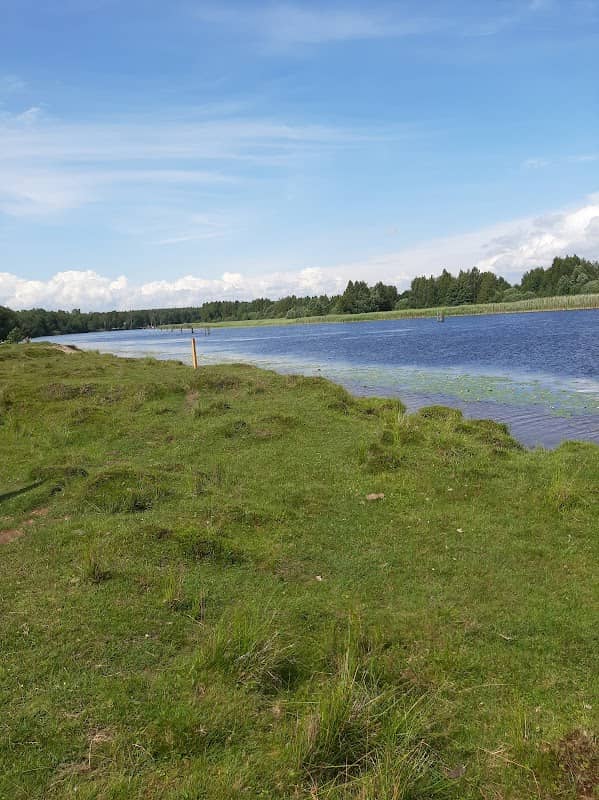 Naturentré Klarälvsdeltat - Image 1