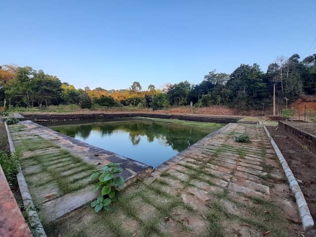 Muttina Kere ಮುತ್ತಿನ ಕೆರೆ - Image 1