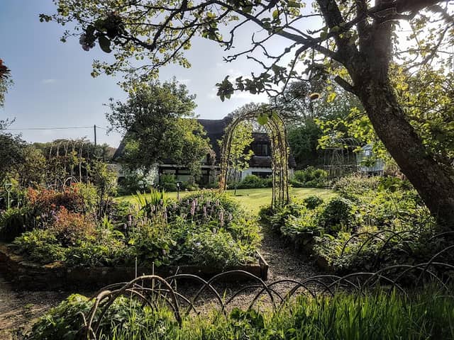 Wild Furzehill Farm - New Forest - Image 1
