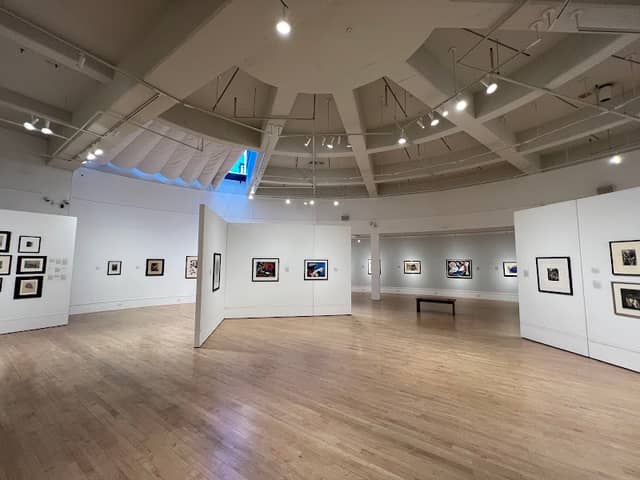 Bedford Gallery at Lesher Center for the Arts - Image 3