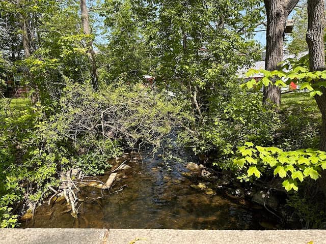 Mill Pond - Image 1