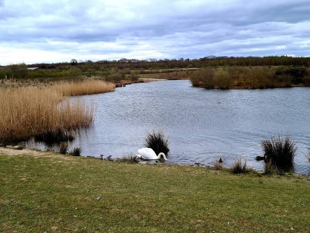 Hick's Lodge - Image 1