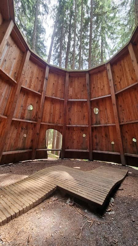 Waldzylinder - Image 1