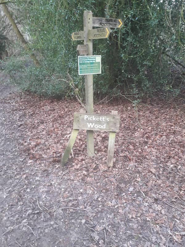 Picketts Wood - Image 2