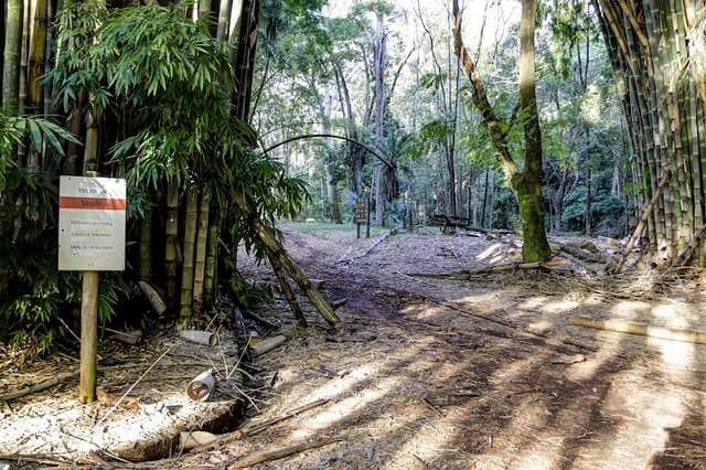 Floresta Estadual Edmundo Navarro de Andrade - Image 1