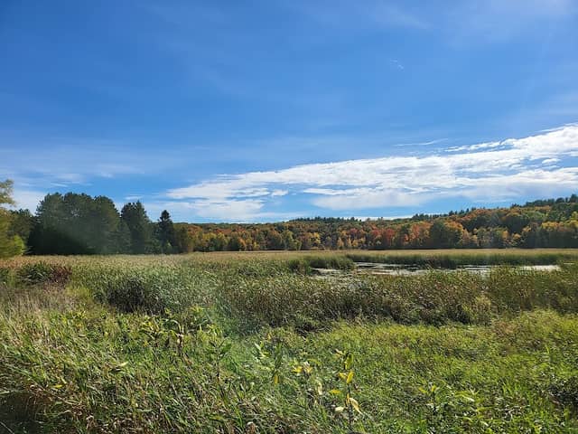 Saint John's Abbey Arboretum - Image 1