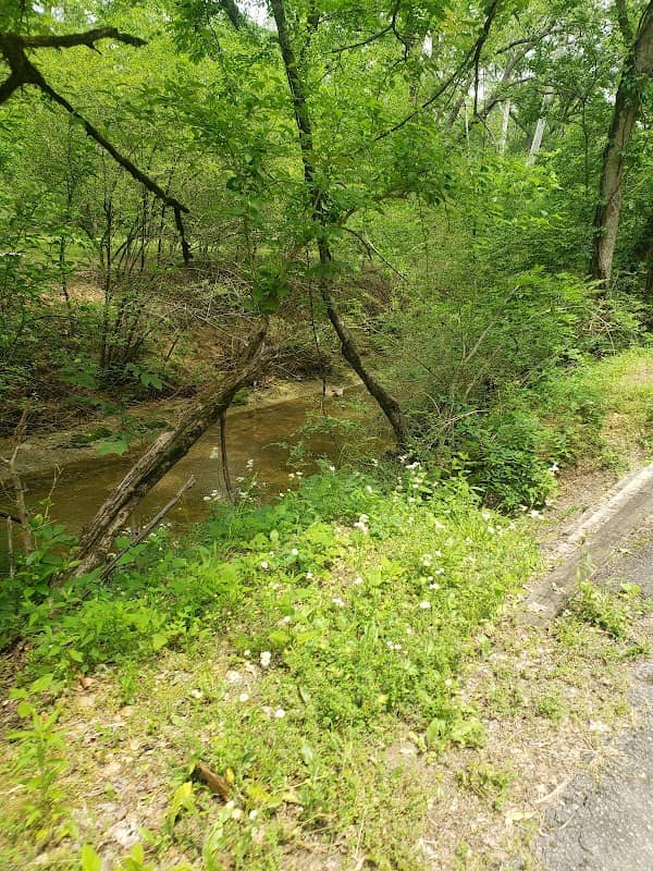 Feaster Park - Image 2