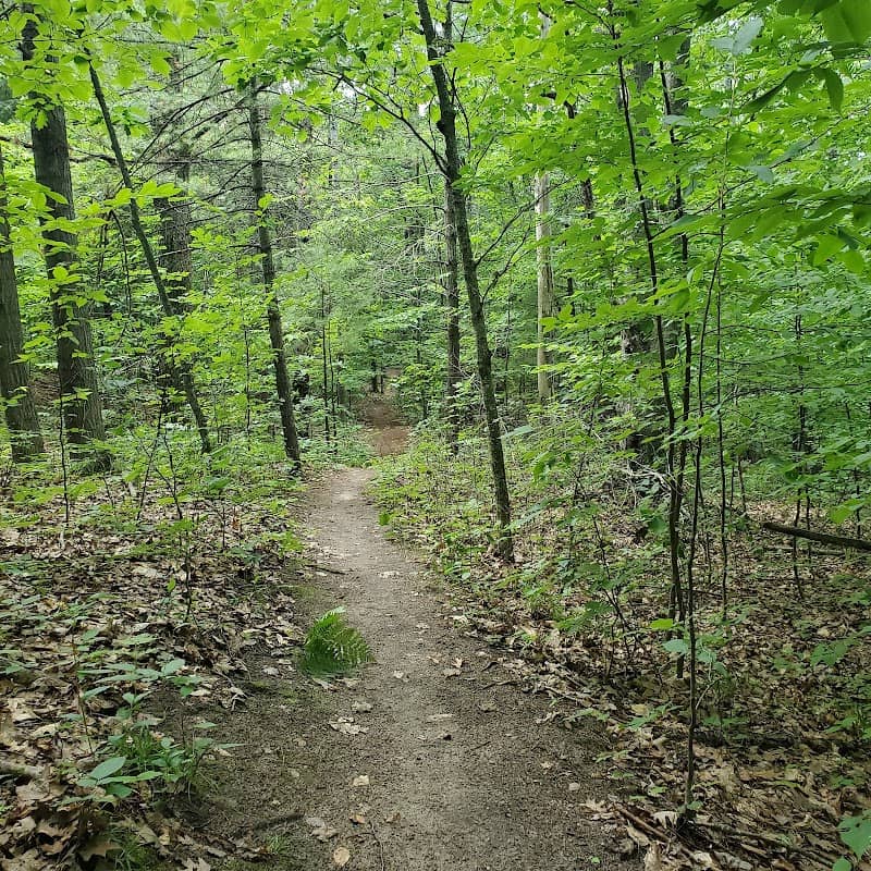 Killingsworth Park - Image 1