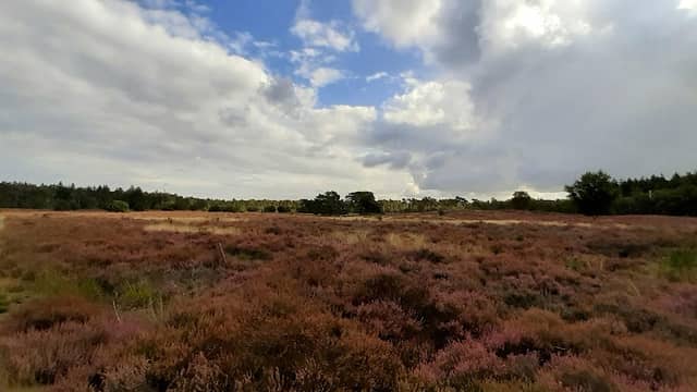 Groote Heide - Image 1