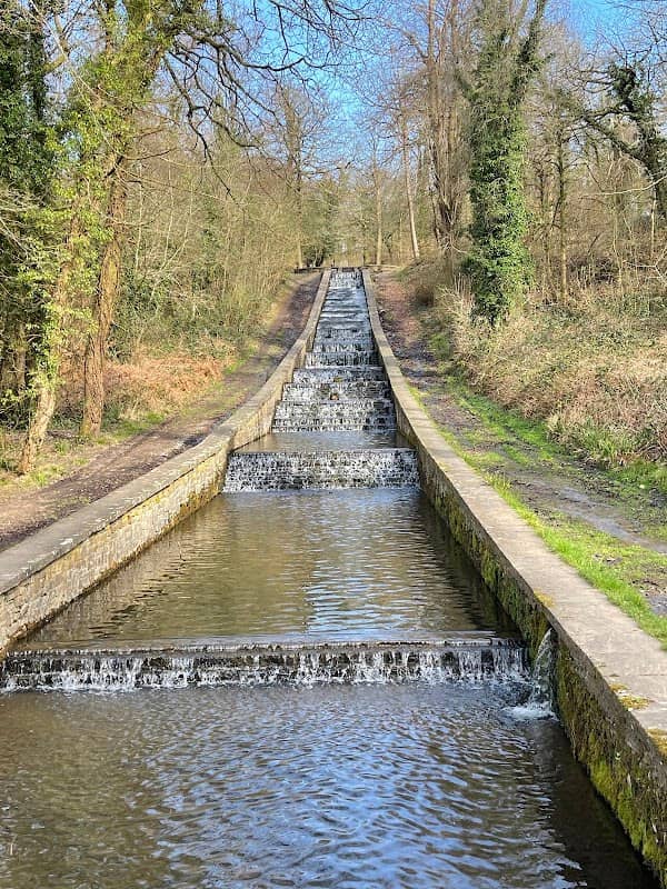 Gnoll Country Park - Image 2