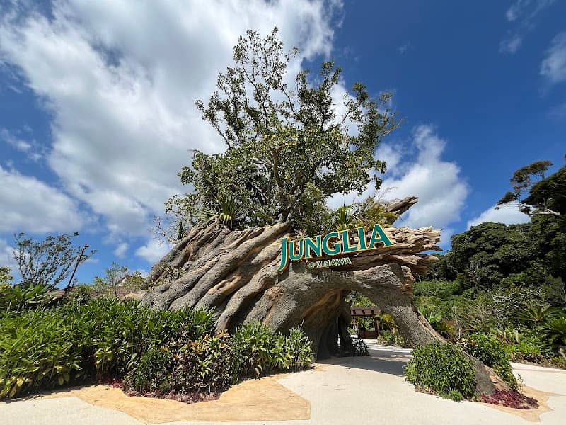 Junglia Okinawa - Image 2