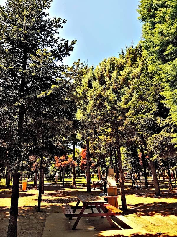 Memorial Woods - Image 1