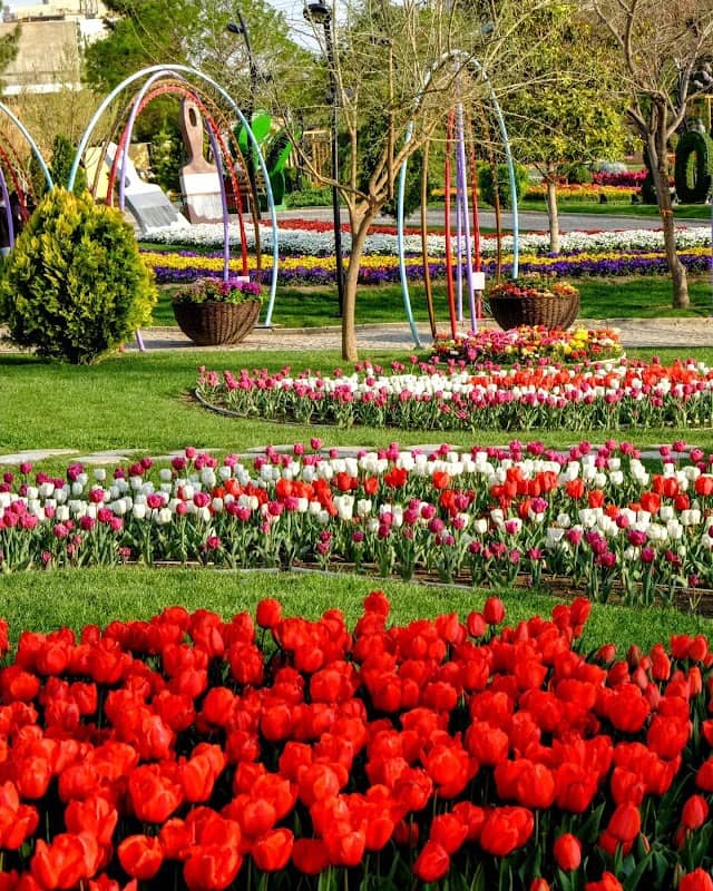 Flowers Garden - Image 1