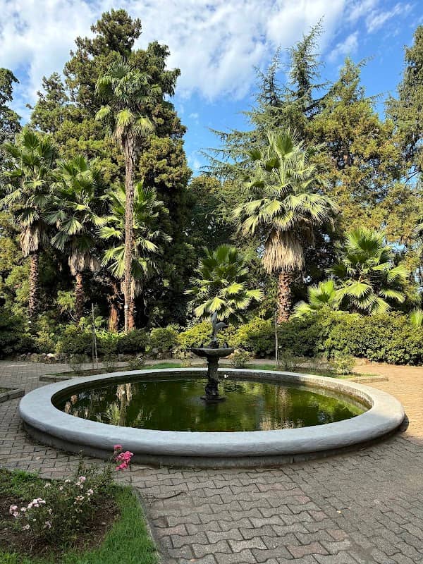 Fountain “dolphins” - Image 1