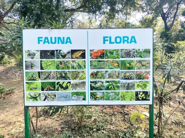 Kadma Biodiversity Park - Image 2