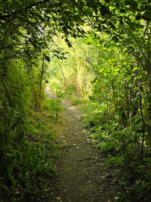 Army Corps Park - Image 1