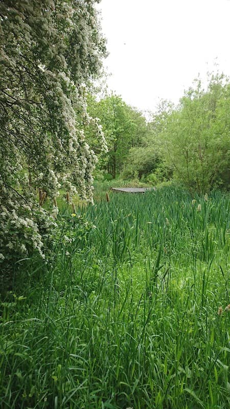 Fullwood Nature Reserve and Community Garden - Image 2