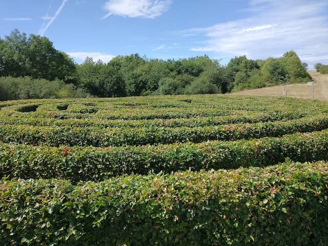 Labyrinth - Image 1