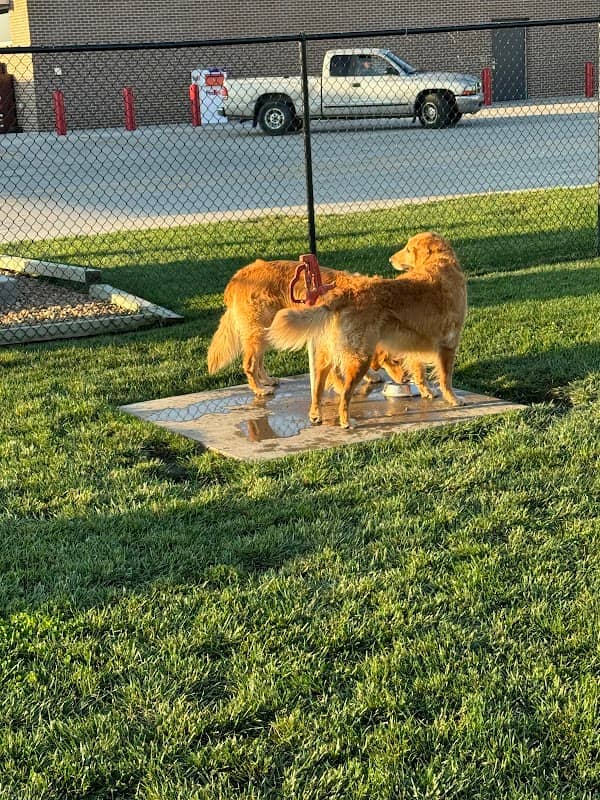 Prairie Dogs Dog Park - Image 1