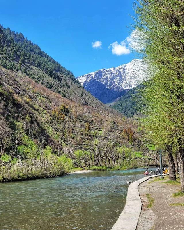 JEEHAN - Image 2