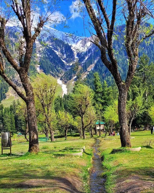 JEEHAN - Image 3