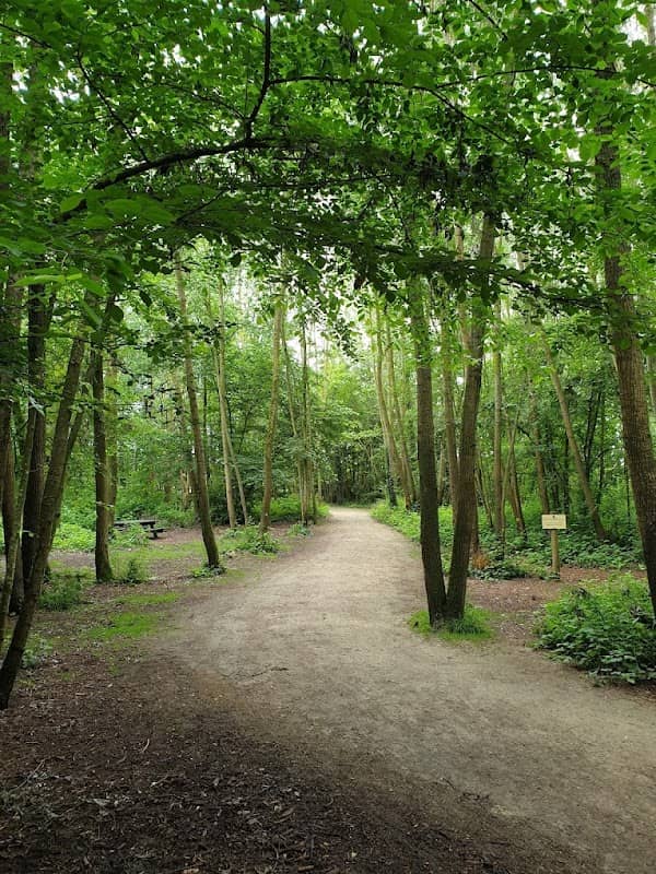 Mills Park - Image 2