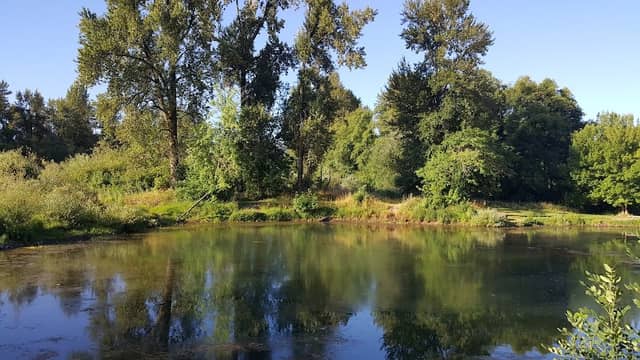 Row River Nature Park - Image 1