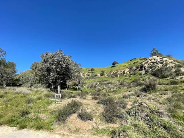 Sunshine Preserve - Image 2