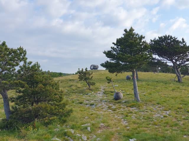 EGG SHELTER KREMENJAK - Image 2