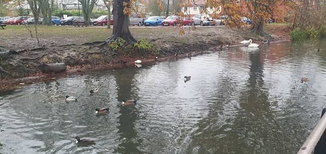 Eastgate Green - Image 2